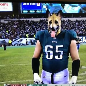 Meet your Posher, Avery